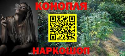 дмт Владимир
