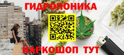 крисы Владивосток