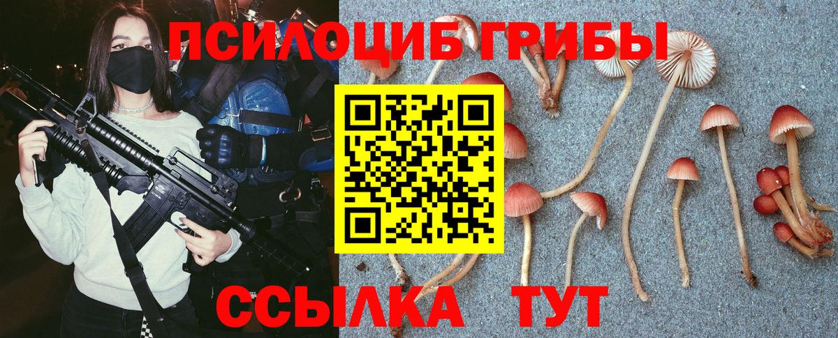 Барнаул  Галлюциногенные грибы Psilocybine cubensis  Вход с VPN 